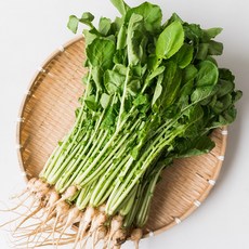 국내산 제철 아삭한 열무김치용 열무, 1개, 1단(2kg내외)