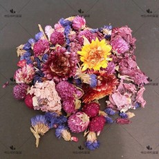 地球的窩窩 花草墊料 倉鼠專用 除臭墊材 綜合花色 寵物健康用品, 1個, 紫色系列