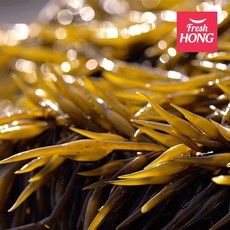 완도 프리미엄 생톳 1kg 2kg 당일채취한 최상급, 1박스