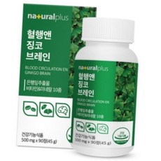 돈스텔 비타민미네랄 혈행앤 징코