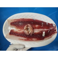 자연산 숭어회-필렛500g(숭어밤 포함), 1개