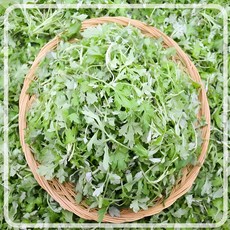 [봄나물종류] 거문도 함평 생쑥 봄나물 산지직동 당일수확, 1개, 200g