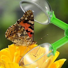 모두 나비채 곤충채집, 연두