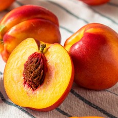 제철에 진심 복숭아 반납작복숭아 대극천 딱딱이 말랑이 황도 백도, 1박스, 신선복숭아 2kg 꼬마 (32과 내외)