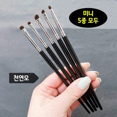5종 디테일 미니 브러쉬세트 아이라인 애교살 스머징 포인트 삼각존 브러쉬, 1개