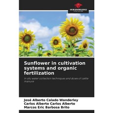 (영문도서)Sunflower in cultivation systems and organic fertilization Paperback, Our Knowledge Publishing, English, 9786208711955