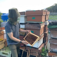 낚시터야간얼굴모기장 벌초벌레예방망사보자기 밭일얼굴보호망, 방충망사(단품)블랙, 1개