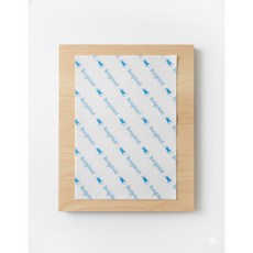 방충시트 곤충월드 날파리 방지, 1개, 화이트