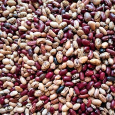 전남 곡성 산지직송 국산 혼합강낭콩 강낭콩 국내산, 1kg, 1박스