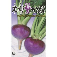 木曾紫蕪菁種子 中包裝 表皮光澤漂亮 肉質厚實香甜, 1包