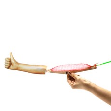 5인 에어 이두근 나무 관절 공기주입식 팔근육 만들기 모형 방과후 수업 운동 초등과학 관절운동 어린이