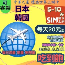 上網卡 - 東京 大阪 四國 琉球 石垣島 濟州島 首爾 釜山, 實體卡 9天,A【白金】日本韓國 每天1GB降速吃到飽