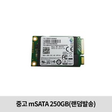 중고 삼성 샌디스크 mSATA 250GB 벌크 랜덤발송