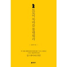 燒毀特洛伊木馬：這個時代的經營者應該拋棄的7種刻板印象, 金容泰 著, 燕岩社