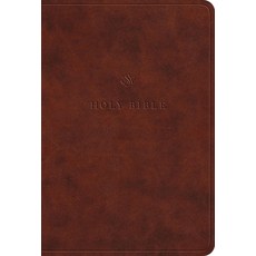 (영문도서)ESV Value Large Print Compact Bible (Trutone Chestnut) Imitation Leather, Crossway, English, 9798874903084