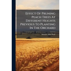 (영문도서)Effect Of Pruning Peach Trees At Different Heights Previous To Planting In The O... Paperback, Hutson Street Press, English, 9781024527858