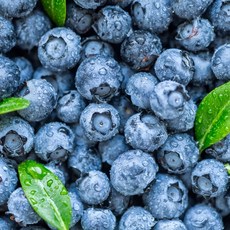 생 블루베리 항공수입 칠레산 (팩당125g), 1개, 대과18mm