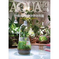 2025년 아쿠아라이프 6월호 [인테리어와 아쿠아리움], 단품, 단품