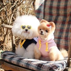 [초코펫하우스]고고싱 베이직 후드티(핑크) 티셔츠 귀여운, XL