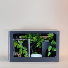 빌드몬스터 도마뱀 파충류 게코도마뱀 사육장 화이트 블랙 세트 40x30x25(cm), 1개, 블랙 B타입세트