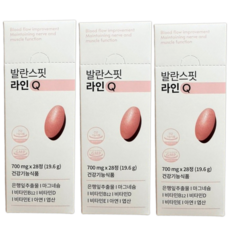 징코 은행잎추출물 혈행개선 발란스핏 라인큐, 3박스