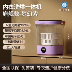 CEYYR 12L 內衣洗烘一體機 旗艦款 UV藍光抑菌99.9% 銀離子抑菌98.9% 母嬰級專業洗 三檔智能定時, 12L香芋紫, GH99