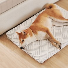 [꽁떼떼] (듀라론) 100% 국내생산 메모리폼 강아지 매트리스 침대 애견 쿠션 S/M/L, 1개, 순면 100수 아이보리
