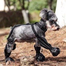 꿈꾸는비 강아지 방수 신발 L 강아지산책, 블랙L