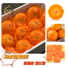 [굿피플] 레드향 레드향선물세트 천혜향 귤 한라봉 황금향 과일선물세트[레드향 선물세트 3kg 소과], 1박스