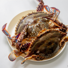 숫 꽃게 국내산 자연산 서해안, 1박스, 자연산 숫꽃게 3kg (9-15미 내외)