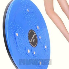 엠비아2 스트레칭 원판 하체운동기구