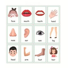 몬테소리 아기 장난감 감정 날씨 학습 카드 만화 영어 플래시 어린이 교육, CHINA, [09] 12pcs Soprts, 1개