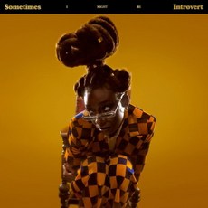[LP] Little Simz (리틀 심즈) - 4집 Sometimes I Might Be Introvert [투명 밀크 컬러 2LP]