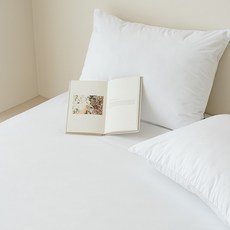 진드기차단 방수 베개커버 2p