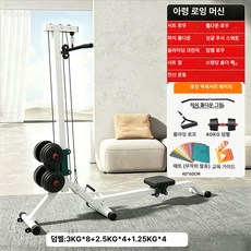 랫풀다운 롱풀 머신 복합 홈트레이닝 근력 헬스 등 장비 근육 기구 강화 운동, 화이트 덤벨 + 40kg 친환경 덤벨, 기본 모델명/품번
