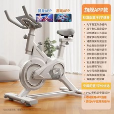 좌식실내자전거 홈트 사이클 헬스자전거 운동기구, 1, C. APP 플래그십 모델