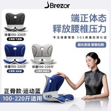 倍立正 人體工學護腰坐墊靠背一體, N/A