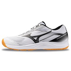 Mizuno 美津濃 男女通用 Cyclone Speed 5 羽球鞋