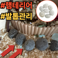 햄스터집 꾸미기 햄테리어 발톱관리 에그스톤, 1개, 작은사이즈(6-8P)