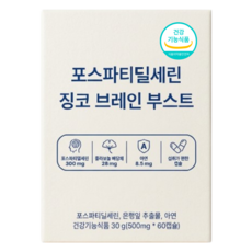 두뇌 포스파티딜세린 은행잎추출물 징코 아연 식약청인정, 1개, 60정