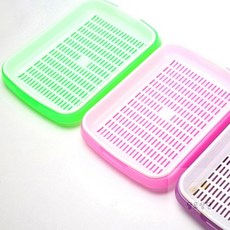 쉽게 키우는 베란다텃밭 미니정원 새싹재배기 가정용재배기