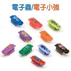 微型電子蟲電子小強貓玩具，仿真爬行逗貓玩具，耐玩不怕倒，袋裝, 1個
