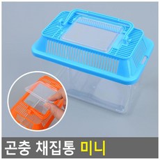 곤충채집통 상자