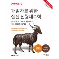 개발자를 위한 실전 선형대수학 [한빛미디어], 한빛미디어