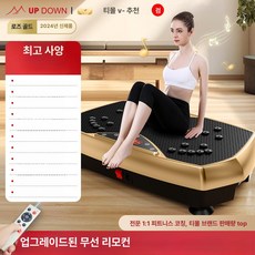 홈트 쉐이크보드 진동 마사지기 뱃살빼는 전신 바디슬리머, 최상위 A, 기본 모델명/품번