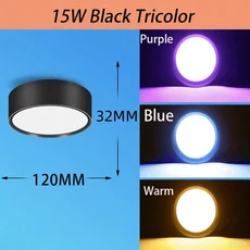 40W 대형 천장 조명 리모컨 파티 RGB 샹들리에 광택 홈 데코 38cm LED 스마트 램프 (거실/침실용), 02 Downlight 3color 15W, 01 1PC