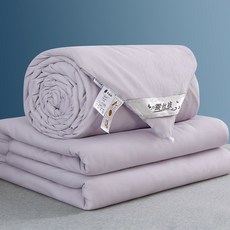 수출 정품 실크 이불 100% 누에고치 봄가을 이불 여름 쿨 이불 에어컨 이불 학생 이불 겨울 이불, B. 리버시블-그레이