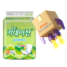 카네이션 일자형패드(2회)30개입 성인기저귀, 30매입, 4세트