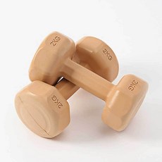 아령 파워볼 헬스기구 아령파워볼 헬스기구아령파워볼 컬러 근력운동 2kg 오렌지 코팅, 본상품