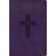 KJV Rainbow Study Bible Purple Leathertouch Imitation Leather, Holman Bibles